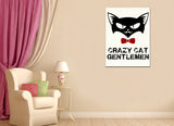 Crazy Cat Gentlement